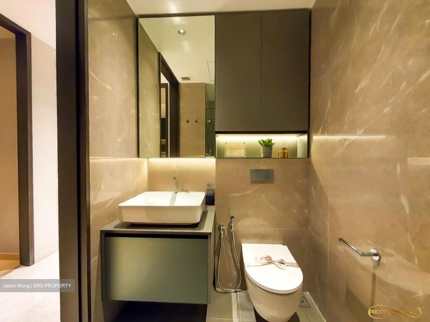 Irwell Hill Residences (D9), Apartment #444897841